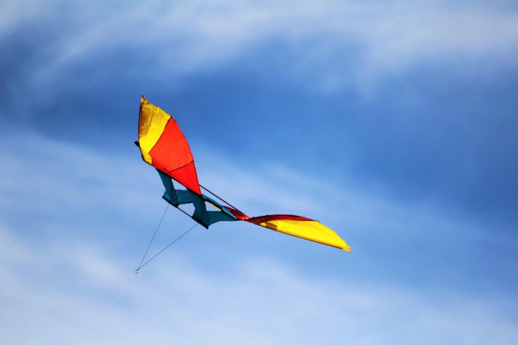 Kite Flying, Bermuda