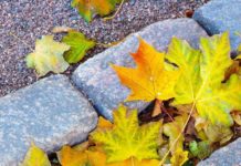 7 of the best places to visit in Europe this autumn