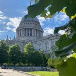 St Paul cathedral