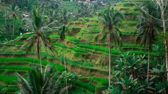 10 Best Things To Do In Bali