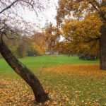 quiet place in Budapest