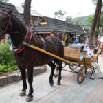tourist attracttions in zakopane