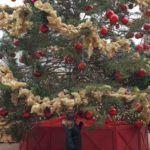 christmas tree in toronto