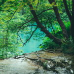 can i go to croatia covid