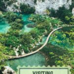 for the whole family