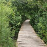 what to do at plitvice lakes