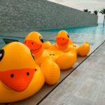 Explorar Koh Samui ducks