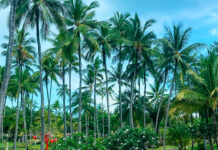 Meliá Bali review – Relax in Paradise